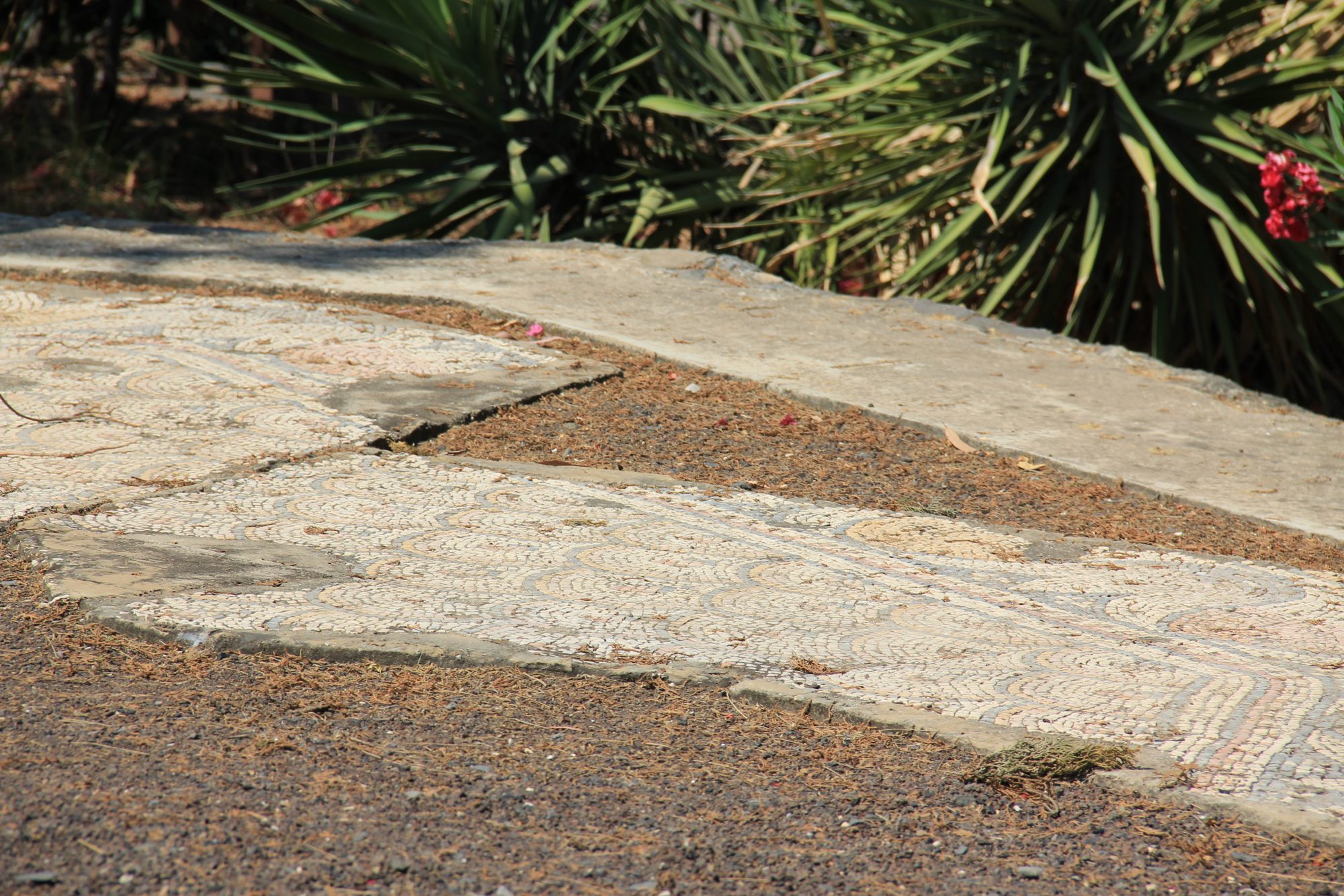 Capharnaum 65